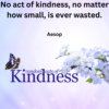 Kindness Quotes Sayings